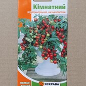 Томат кімнатний, низькорослий