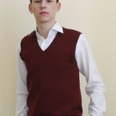 Мужская жилетка бордо