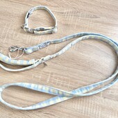 Ошийник і повідок ❤️