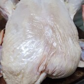Куриця бройлер 2.700 вага