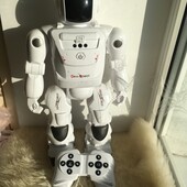 Робот Devo Robot 41см. дист.управ.,ходить, танцює, розмовляє,реагує на руку,2 програми