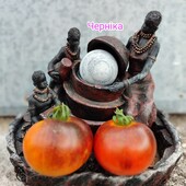 Томат Чорниця насіння