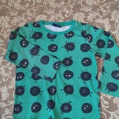 Реглан (122/128)