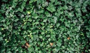 Фото №3