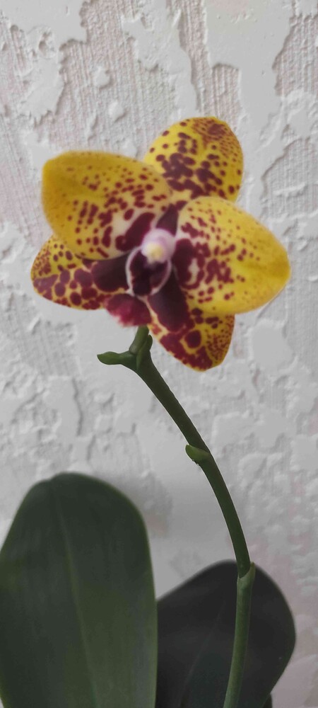 Фото №2