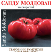 Томат Санду Молдова. Солодкий і ароматний сорт.