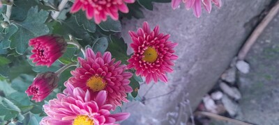 Фото №2
