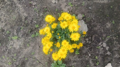 Фото №3