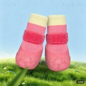 Черевики для собак