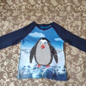 Гарненький реглан (104)