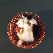 Сувенір Котик в кошику